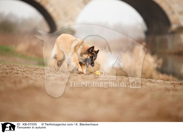 Tervueren im Herbst / Tervueren in autumn / KB-07055