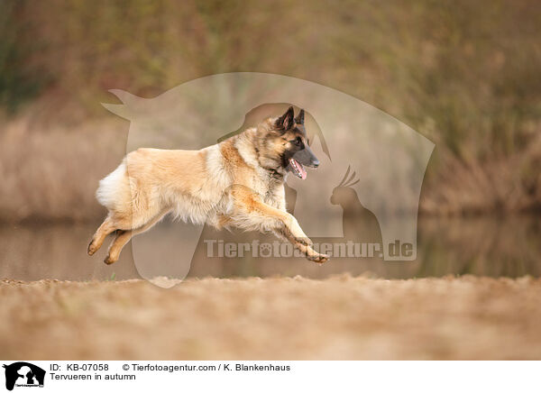 Tervueren im Herbst / Tervueren in autumn / KB-07058