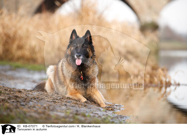 Tervueren im Herbst / Tervueren in autumn / KB-07071