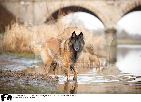 Tervueren im Herbst / Tervueren in autumn / KB-07073
