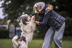 Tibetan Terrier at dog sport