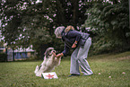 Tibetan Terrier at dog sport