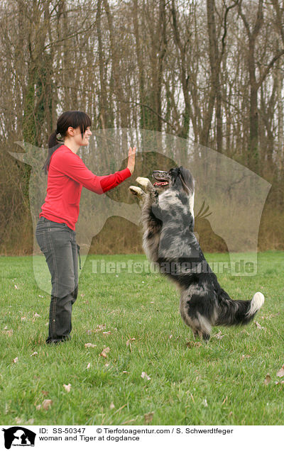 Frau und Altdeutscher Tiger beim Dogdance / woman and Tiger at dogdance / SS-50347