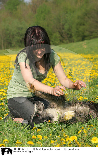 woman and Tiger / SS-50404