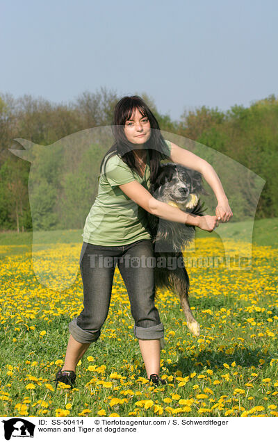 Frau und Altdeutscher Tiger beim Dogdance / woman and Tiger at dogdance / SS-50414