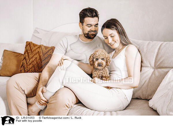Prchen mit Zwergpudel / Pair with toy poodle / LR-01053