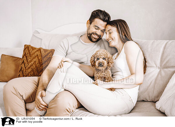 Prchen mit Zwergpudel / Pair with toy poodle / LR-01054