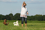 2 Miniature Poodles