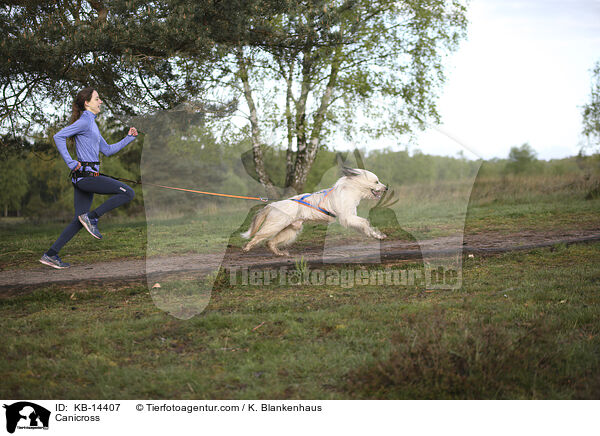 Canicross / Canicross / KB-14407