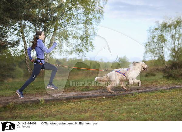 Canicross / Canicross / KB-14408