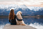 Waeller Sheepdog