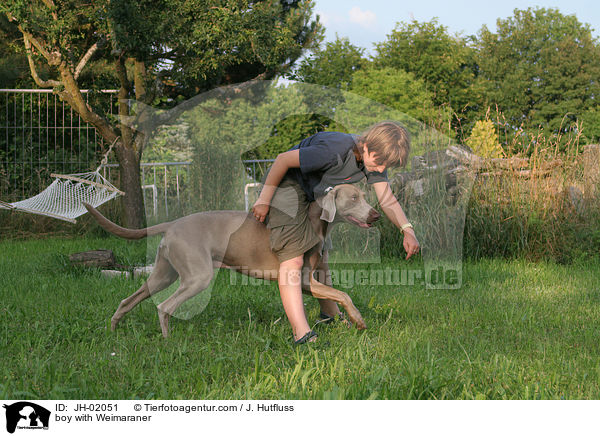 Junge mit Weimaraner / boy with Weimaraner / JH-02051