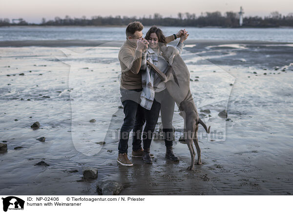 Menschen mit Weimaraner / human with Weimaraner / NP-02406