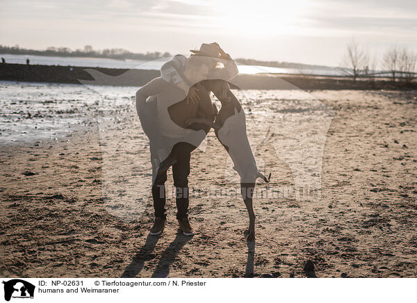 humans and Weimaraner / NP-02631
