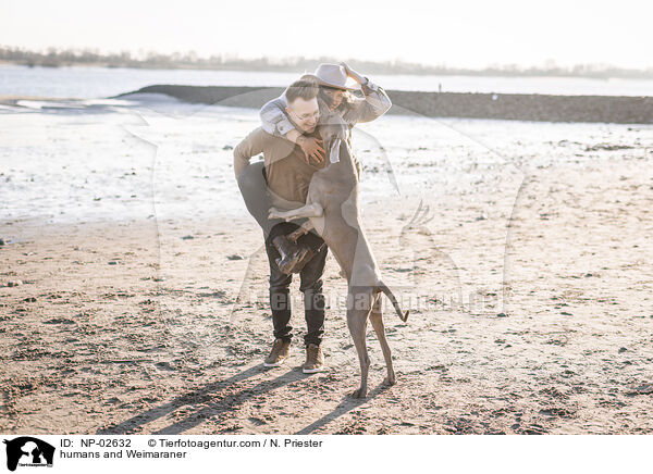 Menschen und Weimaraner / humans and Weimaraner / NP-02632