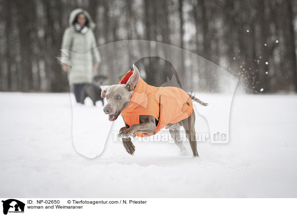 Frau und Weimaraner / woman and Weimaraner / NP-02650