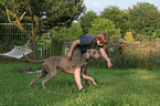 boy with Weimaraner