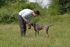 man with Weimaraner