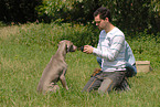 man with Weimaraner