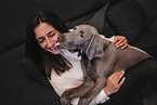 woman and Weimaraner