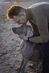 man and Weimaraner