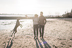 humans and Weimaraner