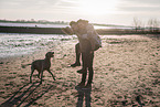 humans and Weimaraner