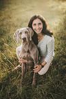 Weimaraner