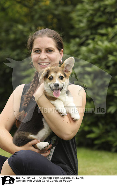 Frau mit Welsh Corgi Cardigan Welpe / woman with Welsh Corgi Cardigan Puppy / KL-19402