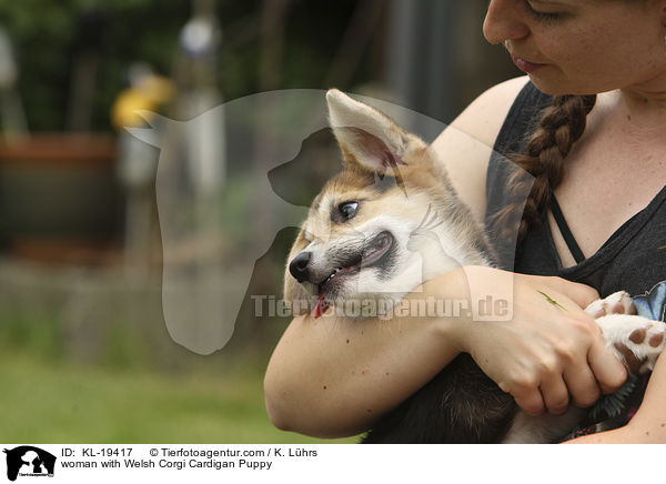 Frau mit Welsh Corgi Cardigan Welpe / woman with Welsh Corgi Cardigan Puppy / KL-19417