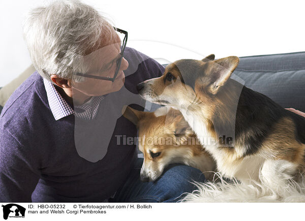 man and Welsh Corgi Pembrokes / HBO-05232
