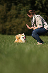 woman and Welsh Corgi Pembroke