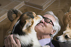 man and Welsh Corgi Pembrokes
