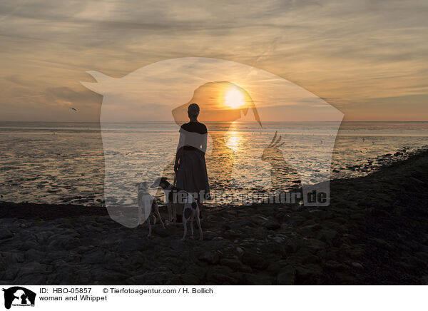 Frau und Whippet / woman and Whippet / HBO-05857