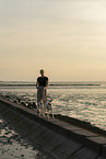 woman and Whippet