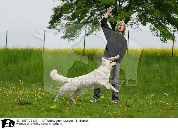 woman and white swiss shepherd / SST-05137