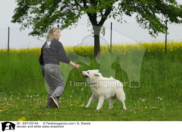 woman and white swiss shepherd / SST-05144