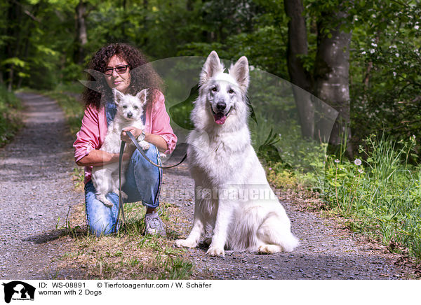 woman with 2 Dogs / WS-08891
