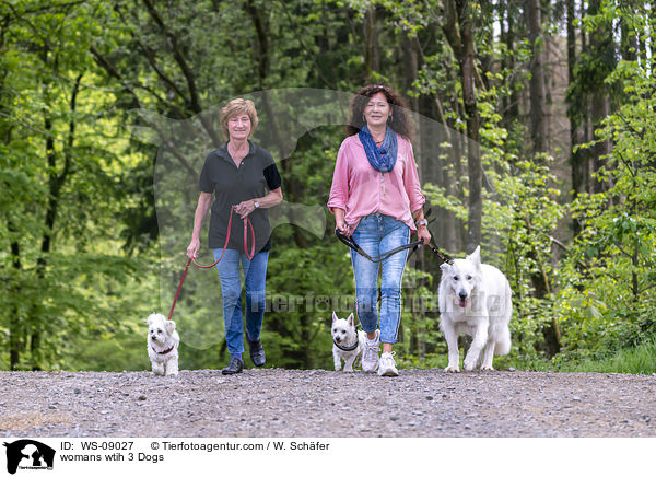 womans wtih 3 Dogs / WS-09027
