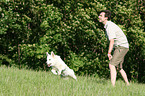 running white shepherd