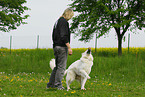 woman and white swiss shepherd
