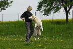 woman and white swiss shepherd