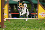 Agility