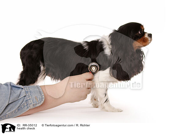 health check / RR-35012