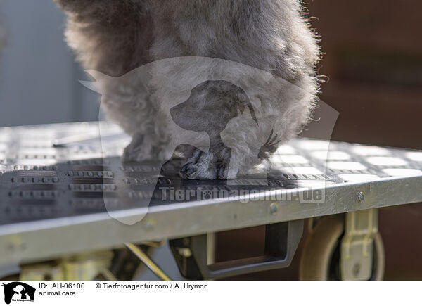 Tierpflege / animal care / AH-06100