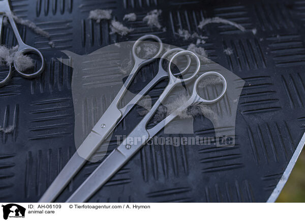 Tierpflege / animal care / AH-06109