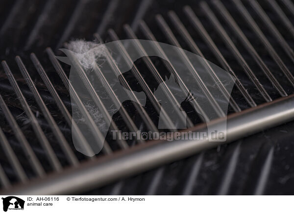 Tierpflege / animal care / AH-06116