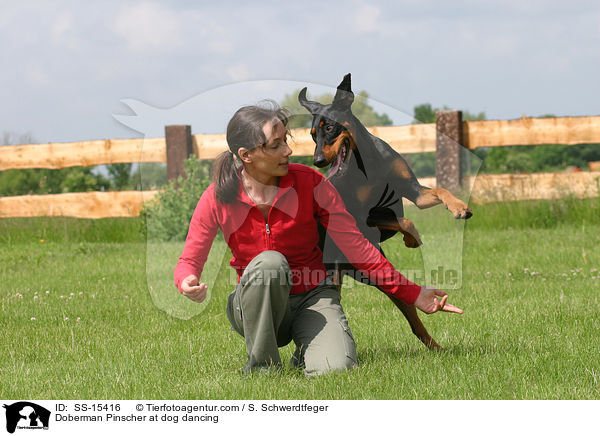 Dobermann beim Dog Dancing / Doberman Pinscher at dog dancing / SS-15416