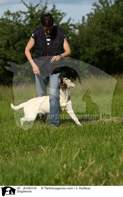 Dogdance / Dogdance / JH-06316