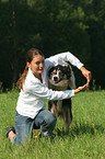 dog jumps through arms